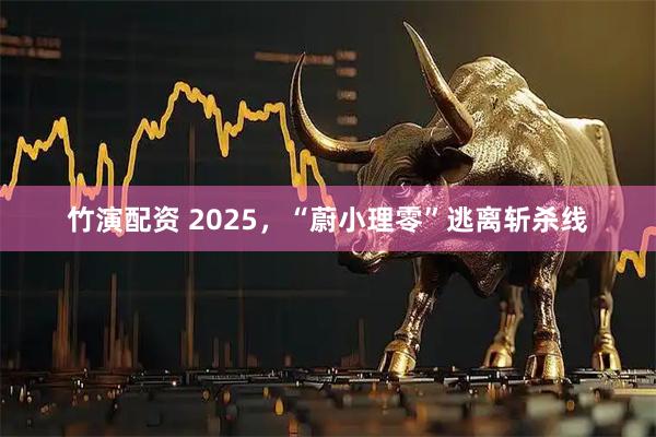 竹演配资 2025，“蔚小理零”逃离斩杀线
